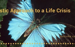 Blue butterfly on a leaf. There is text which reads 'A realistic approach to a life crisis'. In smaller letters to the left is the text 'become something new.