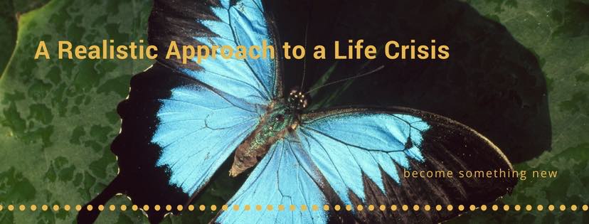 Blue butterfly on a leaf. There is text which reads 'A realistic approach to a life crisis'. In smaller letters to the left is the text 'become something new.